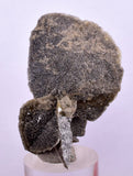 4.9cms SELENITE DESERT ROSE Gypsum Crystals Collectors Peru Mineral Specimen t423