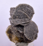 4.3cms SELENITE DESERT ROSE Gypsum Crystals Collectors Peru Mineral Specimen T425