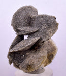4.3cms SELENITE DESERT ROSE Gypsum Crystals Collectors Peru Mineral Specimen T425