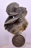4.3cms SELENITE DESERT ROSE Gypsum Crystals Collectors Peru Mineral Specimen T425