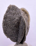 4cms SELENITE DESERT ROSE Gypsum Crystals Collectors Peru Mineral Specimen T426