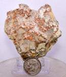 6.1cm RED ORANGE STILBITE Laumontite Calcite Crystals Peru Mineral Specimen F426