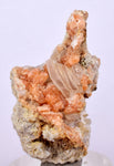3.6cm RED ORANGE STILBITE Laumontite Calcite Crystals Peru Mineral Specimen F427