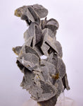 14.5ms SELENITE DESERT ROSE Gypsum Crystals Collectors Peru Mineral Specimen t422