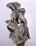 14.5ms SELENITE DESERT ROSE Gypsum Crystals Collectors Peru Mineral Specimen t422