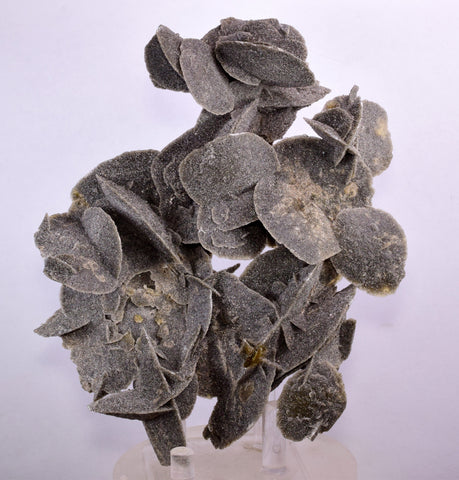 14.5ms SELENITE DESERT ROSE Gypsum Crystals Collectors Peru Mineral Specimen t422