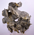 14.5ms SELENITE DESERT ROSE Gypsum Crystals Collectors Peru Mineral Specimen t422