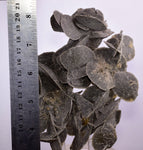 14.5ms SELENITE DESERT ROSE Gypsum Crystals Collectors Peru Mineral Specimen t422