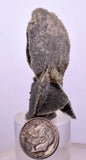 4.9cms SELENITE DESERT ROSE Gypsum Crystals Collectors Peru Mineral Specimen t423