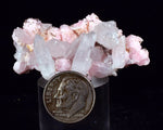 4.8cms RHODOCHROSITE ROSETTE QUARTZ Peru Crystals Needles Mineral Specimen R655