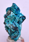 3.1cms  QUARTZ CHRYSOCOLLA TENTADORA Mine Peru Grape Botryoidal Stalactite Crystals Rare Ajoite (?)Mineral Specimen Collectors C12