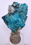 5.2cms  QUARTZ CHRYSOCOLLA TENTADORA Mine Peru Grape Botryoidal Stalactite Crystals Rare Ajoite (?)Mineral Specimen Collectors C13