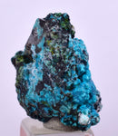 2.2cms  QUARTZ CHRYSOCOLLA TENTADORA Mine Peru Grape Botryoidal Stalactite Crystals Rare Ajoite (?)Mineral Specimen Collectors C14