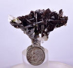 5.6cms AXINITE QUARTZ CRYSTALS Epidote Cluster Prehnite Peru Mineral Specimen Collectors AZ581