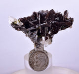5.6cms AXINITE QUARTZ CRYSTALS Epidote Cluster Prehnite Peru Mineral Specimen Collectors AZ581