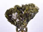 7.9cms AXINITE QUARTZ CRYSTALS Epidote Cluster Prehnite Peru Mineral Specimen Collectors AZ585