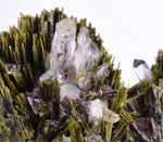 7.9cms AXINITE QUARTZ CRYSTALS Epidote Cluster Prehnite Peru Mineral Specimen Collectors AZ585