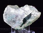 6.6cms ATACAMITE INSIDE SELENITE Crystals  Peru Chrysocolla Calcite Gypsum Premium Mineral Specimen T428