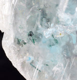 6.6cms ATACAMITE INSIDE SELENITE Crystals  Peru Chrysocolla Calcite Gypsum Premium Mineral Specimen T428