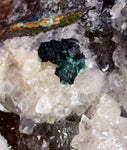 7.7cms GEM SILICA CHRYSOCOLLA Atacamite Malachite Druzy Quartz Stalactites Lily Mine Peru Mineral Specimen D268