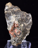 6.5cms RHODOCHROSITE CRYSTALS Peru Manganite 2000 Year Discovery Uchucchacua Mine Gemstone Collector Mineral Specimen R657
