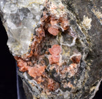 6.5cms RHODOCHROSITE CRYSTALS Peru Manganite 2000 Year Discovery Uchucchacua Mine Gemstone Collector Mineral Specimen R657