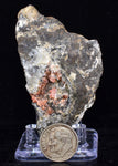 6.5cms RHODOCHROSITE CRYSTALS Peru Manganite 2000 Year Discovery Uchucchacua Mine Gemstone Collector Mineral Specimen R657