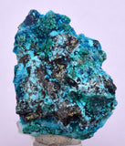 3.1cms  QUARTZ CHRYSOCOLLA TENTADORA Mine Peru Grape Botryoidal Stalactite Crystals Rare Ajoite (?)Mineral Specimen Collectors C12