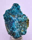 3.5cms  QUARTZ CHRYSOCOLLA TENTADORA Mine Peru Grape Botryoidal Stalactite Crystals Rare Ajoite (?)Mineral Specimen Collectors C15