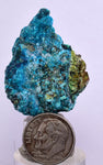 3.5cms  QUARTZ CHRYSOCOLLA TENTADORA Mine Peru Grape Botryoidal Stalactite Crystals Rare Ajoite (?)Mineral Specimen Collectors C15