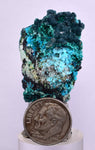 3.4cms  QUARTZ CHRYSOCOLLA TENTADORA Mine Peru Grape Botryoidal Stalactite Crystals Rare Ajoite (?)Mineral Specimen Collectors C17
