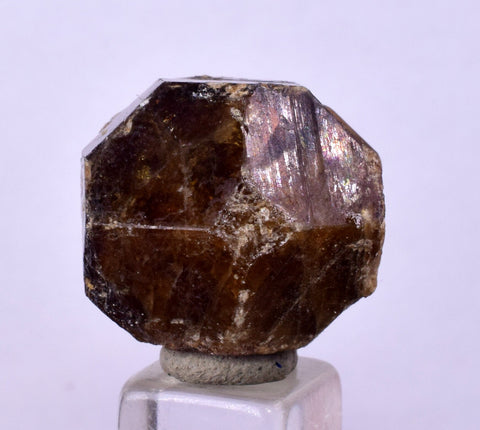 2cm GARNET GROSSULAR HESSONITE Dodecahedron Crystals Peur Mineral Specimen G248