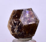 2cm GARNET GROSSULAR HESSONITE Dodecahedron Crystals Peur Mineral Specimen G248