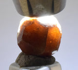 1.3cm GARNET GROSSULAR HESSONITE Dodecahedron Crystals Peur Mineral Specimen G252