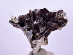 5.6cms AXINITE QUARTZ CRYSTALS Epidote Cluster Prehnite Peru Mineral Specimen Collectors AZ581