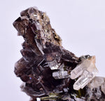 5.6cms AXINITE QUARTZ CRYSTALS Epidote Cluster Prehnite Peru Mineral Specimen Collectors AZ581