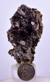 6.1cms AXINITE QUARTZ CRYSTALS Cluster Prehnite Peru Mineral Specimen Collectors AZ583