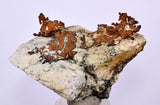 6.1cms NATIVE COPPER PERU Crystal Iron New Find Some Fine Iridescent Wire Cluster Mineral Specimen I218