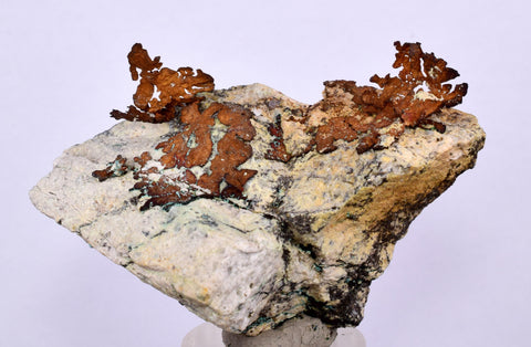 6.1cms NATIVE COPPER PERU Crystal Iron New Find Some Fine Iridescent Wire Cluster Mineral Specimen I218