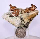 6.1cms NATIVE COPPER PERU Crystal Iron New Find Some Fine Iridescent Wire Cluster Mineral Specimen I218