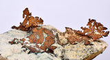 6.1cms NATIVE COPPER PERU Crystal Iron New Find Some Fine Iridescent Wire Cluster Mineral Specimen I218