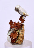 3.4cms NATIVE COPPER PERU Crystal Iron New Find Some Fine Iridescent Wire Cluster Mineral Specimen I219