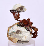 3.4cms NATIVE COPPER PERU Crystal Iron New Find Some Fine Iridescent Wire Cluster Mineral Specimen I219