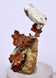 3.4cms NATIVE COPPER PERU Crystal Iron New Find Some Fine Iridescent Wire Cluster Mineral Specimen I219
