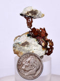 3.4cms NATIVE COPPER PERU Crystal Iron New Find Some Fine Iridescent Wire Cluster Mineral Specimen I219