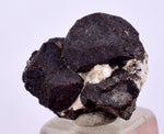 1.8cm ALABANDITE CRYSTALS  Peru Gem Sharp Bright Uchuchaccua Mine Mineral Specimen H334