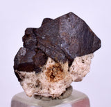 1.9cm ALABANDITE CRYSTALS  Peru Gem Sharp Bright Uchuchaccua Mine Mineral Specimen H335