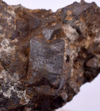 3.2cm ALABANDITE CRYSTALS  Peru Gem Sharp Bright Uchuchaccua Mine Mineral Specimen H337