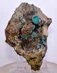 7.3cms GEM SILICA CHRYSOCOLLA Druzy Quartz Stalactites Peru Mineral Specimen D274