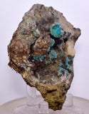 7.3cms GEM SILICA CHRYSOCOLLA Druzy Quartz Stalactites Peru Mineral Specimen D274